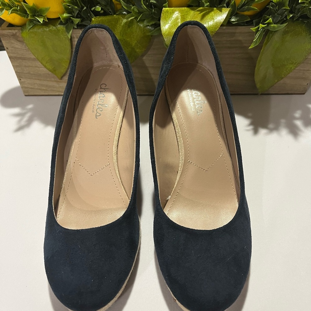 Navy wedge heel